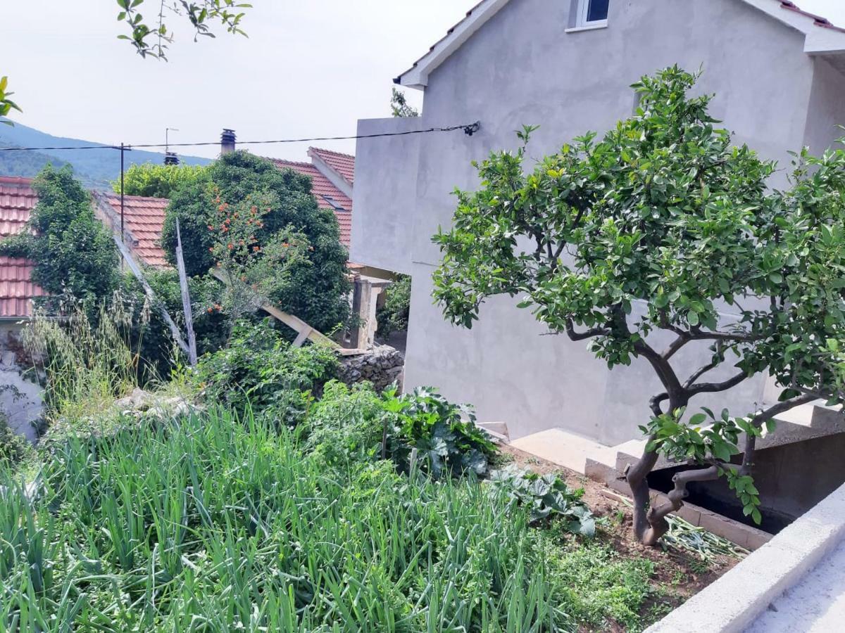 Hotel Kuca Za Odmor Dobrila Jelsa  Esterno foto