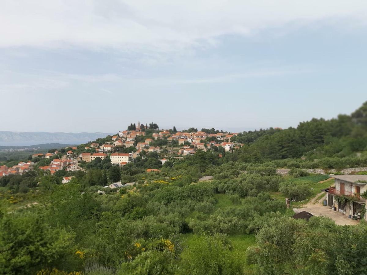 Hotel Kuca Za Odmor Dobrila Jelsa  Esterno foto